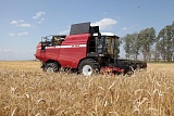 ПАЛЕССЕ GS3219