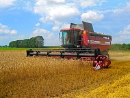 ПАЛЕССЕ GS14